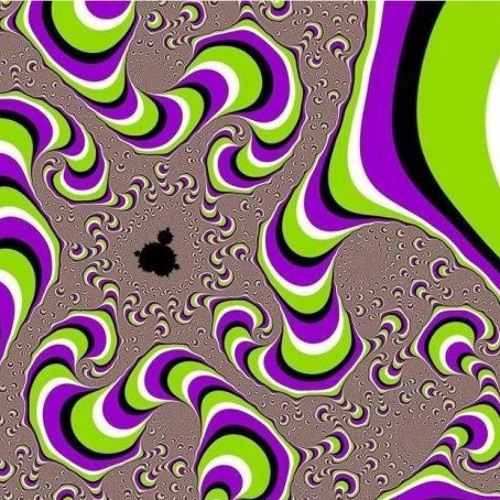 KOLLEKTIV TURMSTRASSE