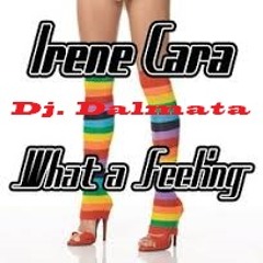 What A Feeling  Irene Cara  Dj. Dalmata (tribal)