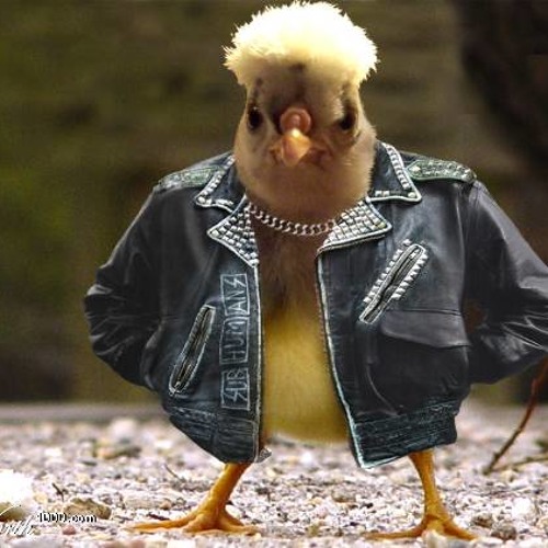 PUNKHOUSE
