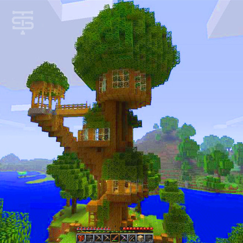 building at the treehouse