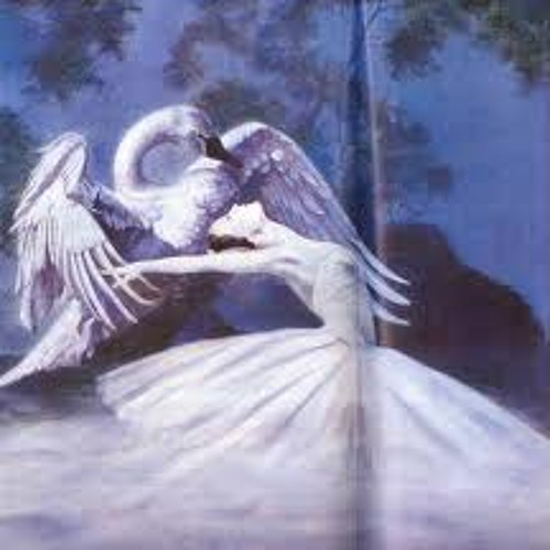 Classical Music  -  Tchaikovsky - Swan Lake Theme