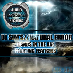 AOR008 - NATURAL ERROR - HANDS IN THE AIR