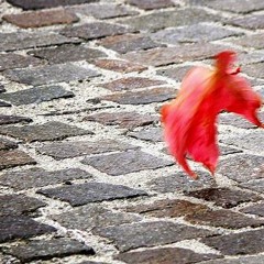 Red Leaf - Autumn Mix 2013