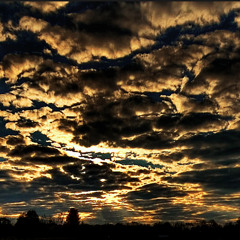 The Never Ending Walk Of The Doubtful ( 2009 )