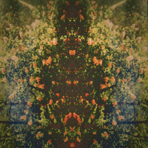 enchrostid