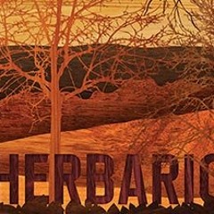 Green Monkey - Herbario - NuJazz - ElectroJazz