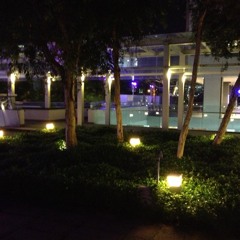 Counting Gorillas HAHAHA