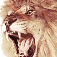 Freedom Of A Lion-E.man feat Puks OBVS, vDUBB