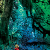 Jacco Gardner - Clear The Air