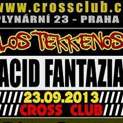 Dave.LXR - Live 3decks mix @ Acid fantasia party