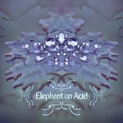 Uschi & Hans - Elephant On Acid | free download