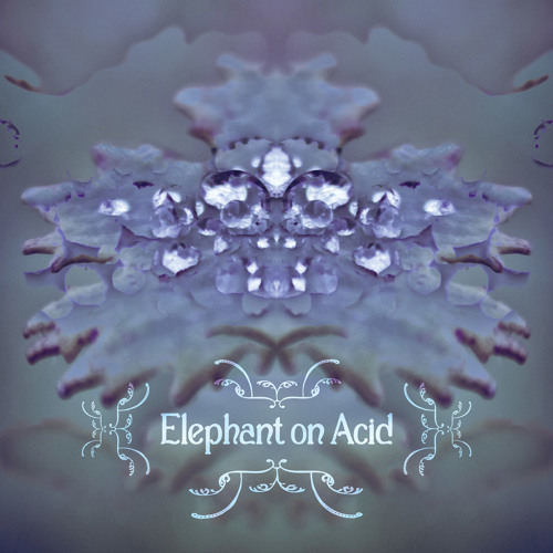 Uschi & Hans - Elephant On Acid | free download