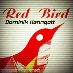 Dominik Kenngott - Red Bird - Fish Rec