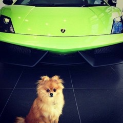 Niconé / Sascha Braemer - Lovely Chaos (Original Mix)