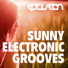 Sunny Electronic Grooves 05