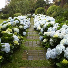 In Search Of Your Love