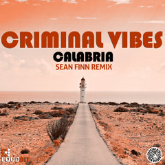 Criminal Vibes - Calabria (Sean Finn Remix)