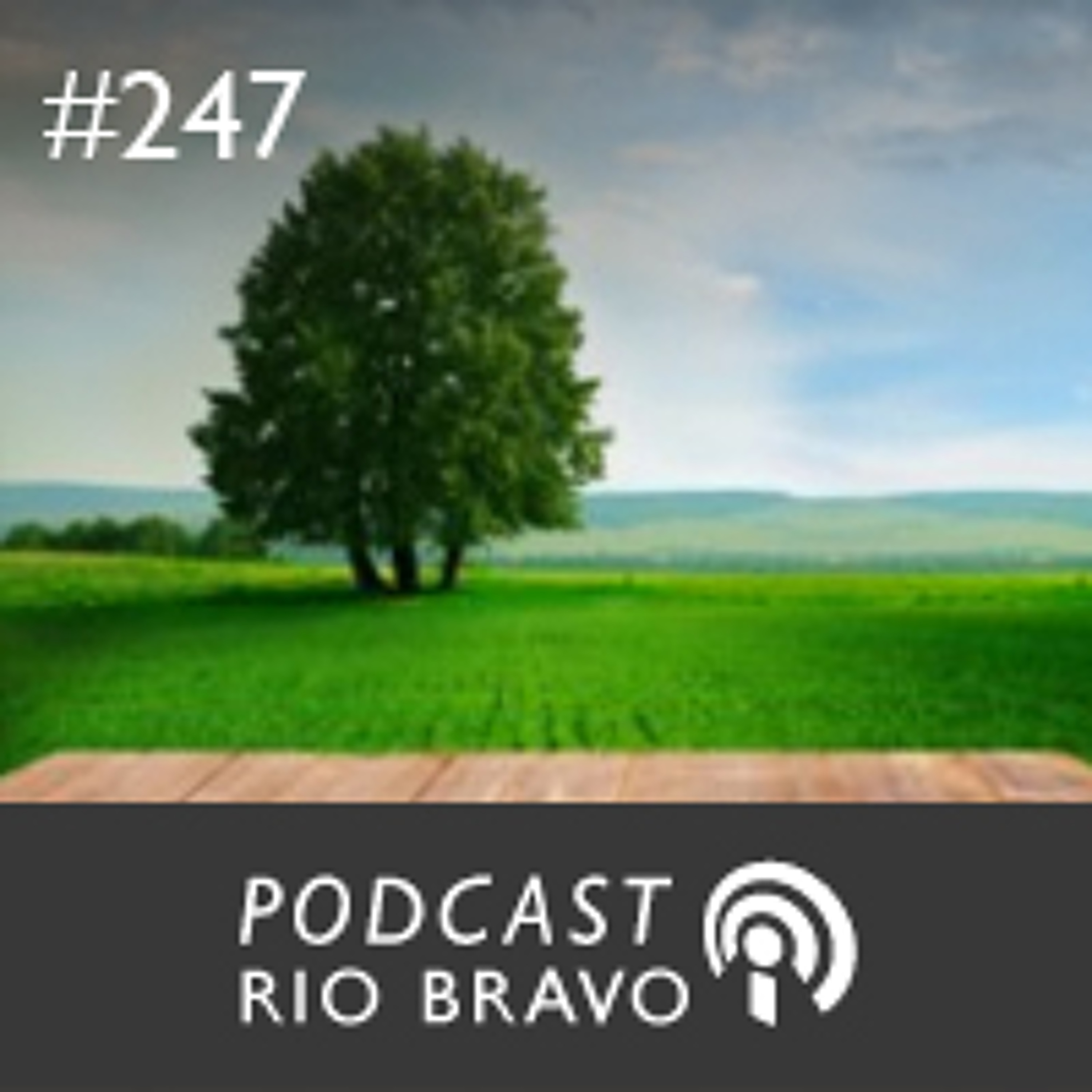 Podcast Rio Bravo - 2013