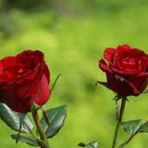 Fariyaad Kya Kare Hum..Beautiful song By sonu and here n Rinus Voice ..