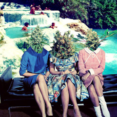 Slow House