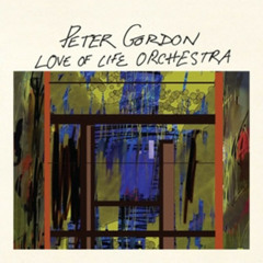 Peter Gordon & Love Of Life Orchestra - Still You
