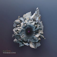 Naden - Tokamak