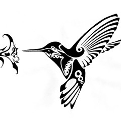 Arjuna Schiks - Hummingbird