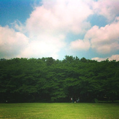 picnic