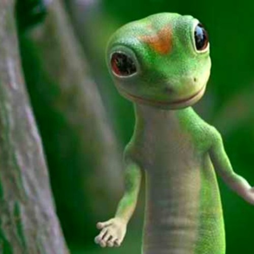 She goes to Discos with a hard on (Gecko Lady)