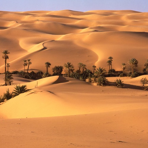 Hot Sands