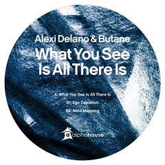 Alexi Delano & Butane - B2 - Mind Mapping [alpha28] (snippet)