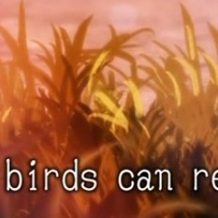 Little Birds Can Remember