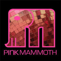 Marques Wyatt - Pink Mammoth - Burning Man 2013