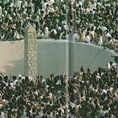 فاضت بالعبرة عيناه - أبو عابد
