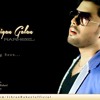 Jibran Raheel Dil Diyan Galan Mp3 Vdo Officially Released Mp3