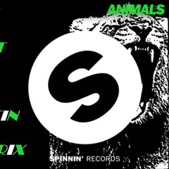 Martin Garrix - Animals Insomnia (dANNy BeSt remix)