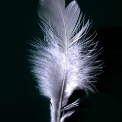 Lead Feathers