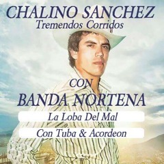 CHALINO SANCHEZ La Loba Del Mal (Con Tuba & Acordeon)