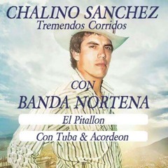 CHALINO SANCHEZ El Pitallon (Con Tuba & Acordeon)
