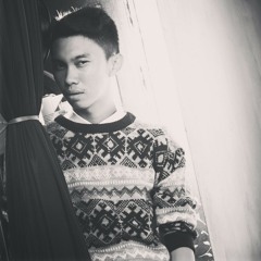 Miley Cyrus -Wrecking Ball (Acapella Cober)