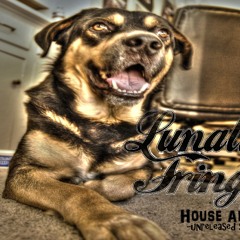 Lunatic Fringe - House Arrest - unreleased tracks - (7 min album snippet)
