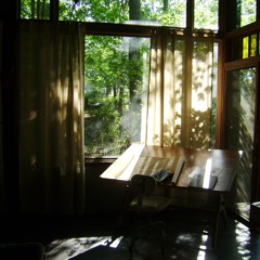 The Morning Sunshine....on my window pane
