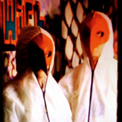 Ornithologist - The Scarlett Macaw