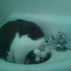 MEOWmixes =^.^=