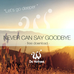De Hofnar - Never Can Say Goodbye (Original Mix)