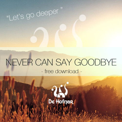 De Hofnar - Never Can Say Goodbye (Original Mix)