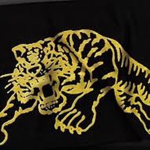 Hip Hop Mix - Tiger Style Part 1