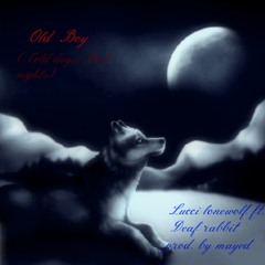 Old Boy (Cold days,Lost nights) ft. Deaf rabbit Prod.by Mayed