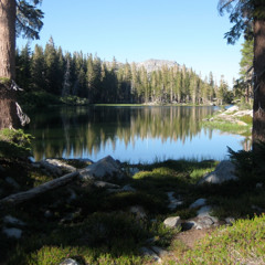 Songs of Love and Solace, Op. 10