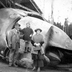 The (Right) Whale